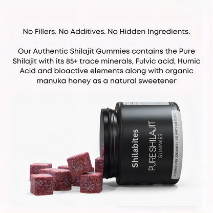 Shilabites - Authentic Shilajit Gummies